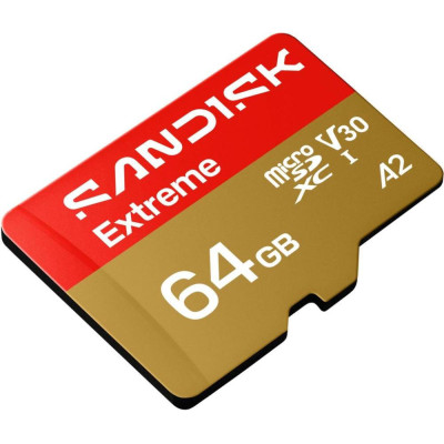 SanDisk 64 GB microSDXC Extreme Go (SDSQXGN-064G-GN6MN)