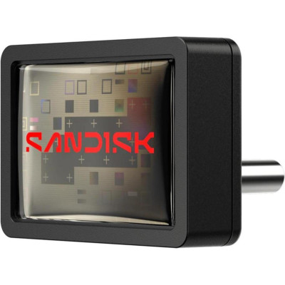 SanDisk 64 GB Extreme Fit Black (SDCZ530-064G-G46)