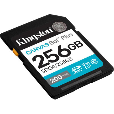 Kingston 256 GB SDXC Canvas Go! Plus UHS-I U3 V30 Class 10 (SDG4/256GB)