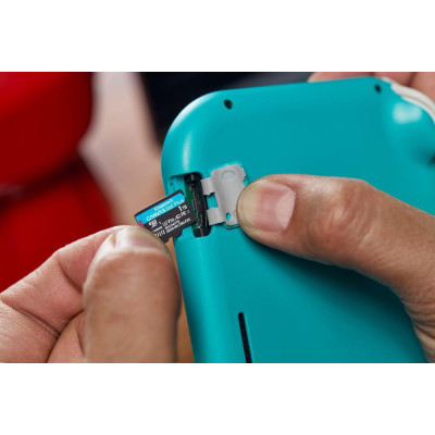 Kingston 1 TB microSDXC Canvas Go! Plus UHS-I U3 V30 A2 Class 10 (SDCG4/1TBSP)