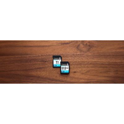 Kingston 512 GB SDXC Canvas Go! Plus UHS-I U3 V30 Class 10 (SDG4/512GB)
