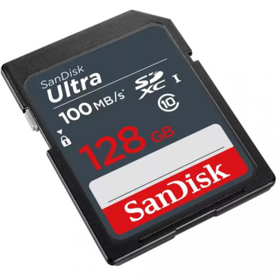 SanDisk 128 GB SDXC UHS-I Ultra SDSDUNR-128G-GN3IN