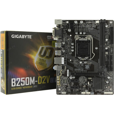 GIGABYTE GA-B250M-D2V