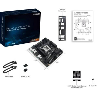 ASUS Pro WS B850M-ACE SE (90MB1MN0-M0EAY0)