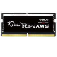 G.Skill 16GB DDR5 5600 MHz Ripjaws SODIMM (F5-5600S4040A16GX1-RS)