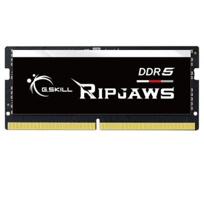 G.Skill 16GB DDR5 5600 MHz Ripjaws SODIMM (F5-5600S4040A16GX1-RS)
