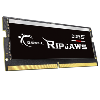 G.Skill 16GB DDR5 5600 MHz Ripjaws SODIMM (F5-5600S4040A16GX1-RS)