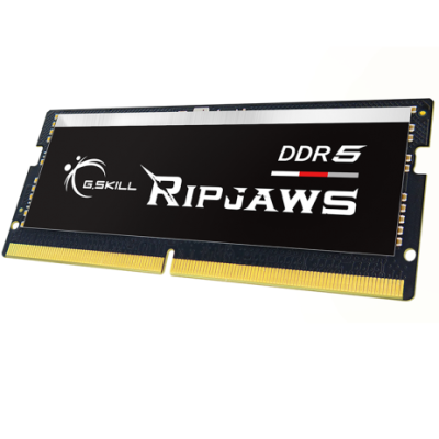 G.Skill 16GB DDR5 5600 MHz Ripjaws SODIMM (F5-5600S4040A16GX1-RS)