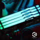 Kingston FURY 128 GB (2x64GB) DDR5 5600 MHz Beast Black RGB EXPO (KF556C40BBAK2-128)