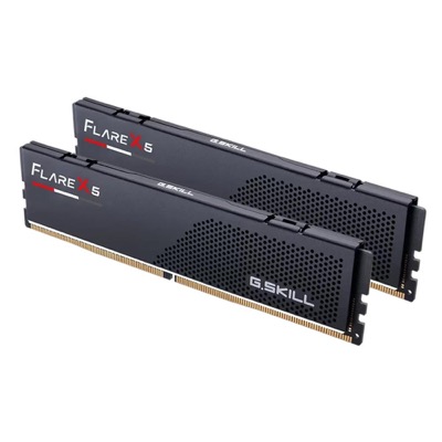 G.Skill Flare X5 64GB (2x32GB) DDR5-5600 AMD EXPO (F5-5600J3636D32GX2-FX5)
