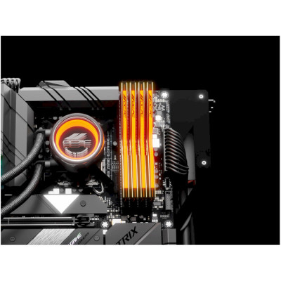 OCPC PISTA 32Gb (2x16Gb) DDR5 6600MHz RGB C32 Black Label (MMPT2K32GD566C32BL)