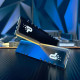 PATRIOT 16 GB DDR5 5600 MHz Signature Premium (PSP516G560081H1)