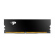 PATRIOT 16 GB DDR5 5200 MHz Signature Line Premium Black (PSP516G520081H1)