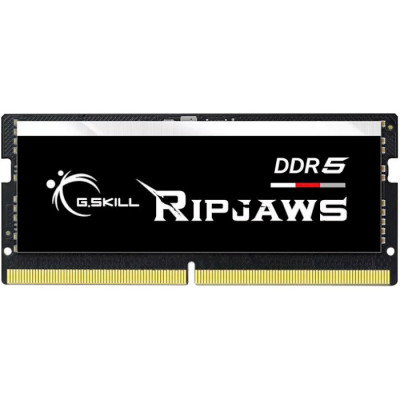 G.Skill 32GB DDR5 5600 MHz Ripjaws SODIMM (F5-5600S4040A32GX1-RS)