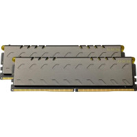 Exceleram 48 GB (2x24GB) DDR5 6000 MHz Aurum (EGA50602836D-48)