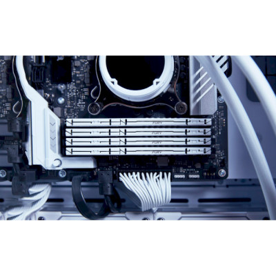 Kingston FURY 16 GB DDR5 6000 MHz Beast EXPO White (KF560C30BWE-16)