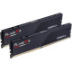G.Skill 24 GB (2x24GB) DDR5 6000 MHz Flare X5 (F5-6000J3036F24GX2-FX5)