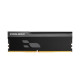 Prologix 16 GB DDR5 5600 MHz Onyx Black (PRO16GB5600YB5)