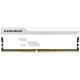 Prologix 16 GB DDR5 5600 MHz Onyx White (PRO16GB5600YW5)