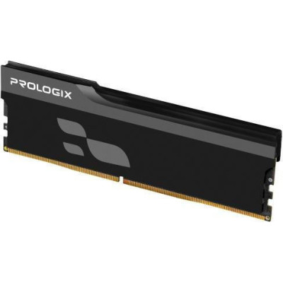 Prologix 16 GB DDR5 6000 MHz Onyx Black (PRO16GB6000YB5)