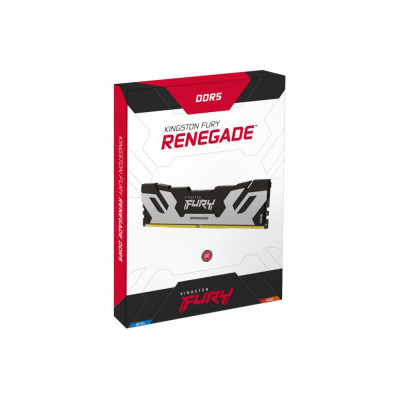 Kingston FURY 24 GB DDR5 7200 MHz Renegade Silver (KF572C38RS-24)