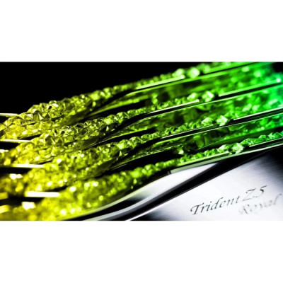 G.Skill 32 GB (2x16GB) DDR5 6400 MHz Trident Z5 Royal Silver (F5-6400J3039G16GX2-TR5S) 