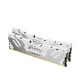 Kingston FURY 32 GB (2x16GB) DDR5 6400 MHz Renegade Silver/White (KF564C32RWK2-32)