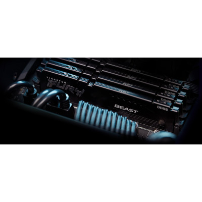 Kingston FURY 16 GB DDR5 5600 MHz FURY Beast (KF556C36BBE-16)
