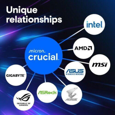 Crucial 64 GB DDR5 5600 MHz Pro Black (CP64G56C46U5)