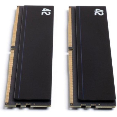 Exceleram 64 GB (2x32GB) DDR5 4800 MHz 42-Series (E-42-004D-64)