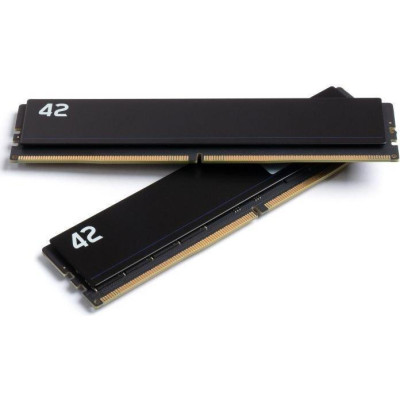 Exceleram 64 GB (2x32GB) DDR5 4800 MHz 42-Series (E-42-004D-64)