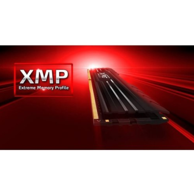 ADATA 32 GB (2x16GB) DDR4 3200 MHz XPG Gammix D10 (AX4U320016G16A-DB10)