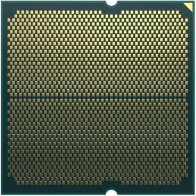 AMD Ryzen 7 7700 (100-100000592SPK)