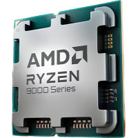 AMD Ryzen 9 9900X(100-000000662)