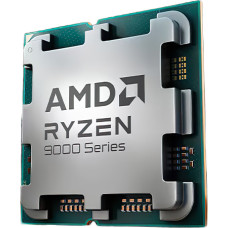 AMD Ryzen 9 9900X(100-000000662)