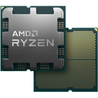 AMD Ryzen 9 7900 (100-100000590WOF)