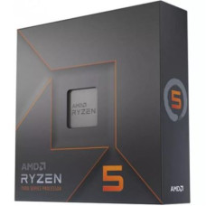 AMD Ryzen 5 7600X (100-100000593WOZ)