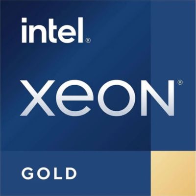 Intel Xeon Gold 5315Y Tray (CD8068904665802)