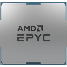 AMD EPYC Bergamo 9754 (100-000001234)