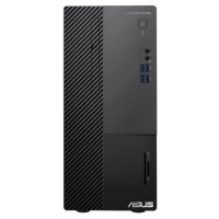 ASUS ExpertCenter D5 Mini Tower D500MAES-7107000050 (90PF0241-M09860)