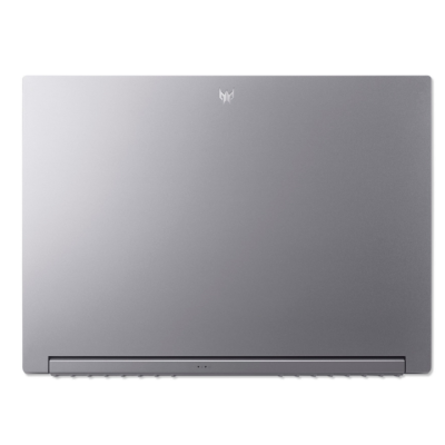 Acer Predator Triton 300 PT314-52s (NH.QHJEU.004)