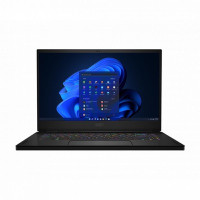 MSI GS66 Stealth 11UH (GS6611UH-021US)