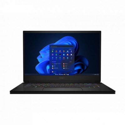 MSI GS66 Stealth 11UH (GS6611UH-021US)