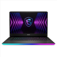 MSI GE77 Raider HX12UHS (GE77HX12UHS-218UA)