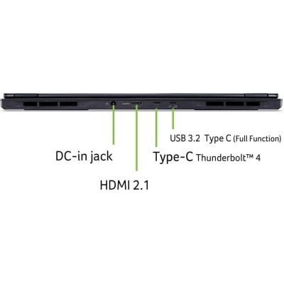 Acer Predator Helios Neo 16S AI PHN16S-71-74CH Black (NH.QZEEU.006)
