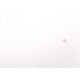 ASUS Zenbook S 13 OLED UM5302TA-LV498W (90NB0WA7-M00PY0)