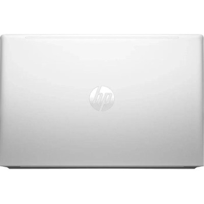 HP ProBook 450 G10 Silver (A38GBET)