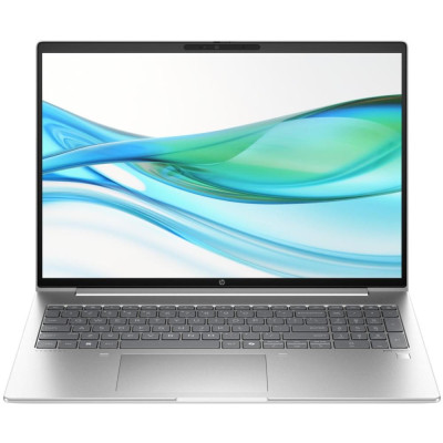 HP ProBook 460 G11 Pike Silver (A23BKEA)
