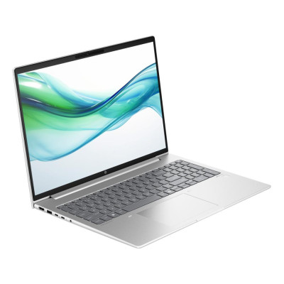 HP ProBook 460 G11 Pike Silver (A23BKEA)