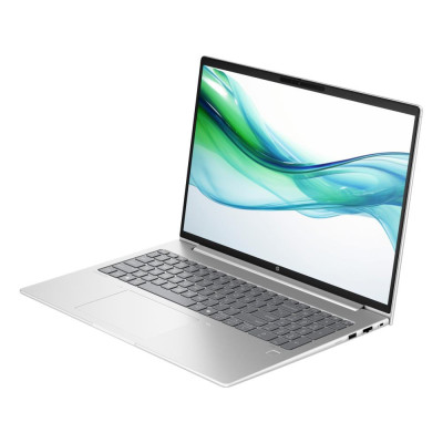 HP ProBook 460 G11 Pike Silver (A23BKEA)